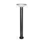Lampa ogrodowa solarna LED 60 cm stojąca nowoczesna aluminiowa
