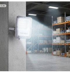 Naświetlacz LED 50W ARES IP65 Germina 6000K 5000lm Szary