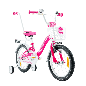 Rower dziecięcy 16 cali dla dziewczynki z kółkami bocznymi – koszyk, prowadnik, błotniki, bagażnik, osłona łańcucha