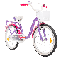 Rower dziecięcy 20 cali dla dziewczynki z koszykiem i bagażnikiem