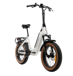 Rower elektryczny składany 20" Fat Bike 250W