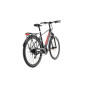 Rower elektryczny trekkingowy męski 28" GERMINA ROWELE0007 – silnik centralny 250W, zasięg do 90 km