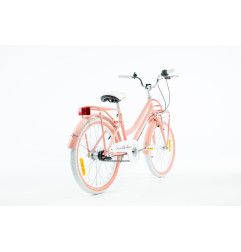 Rower dziecięcy 20" Vintage Shimano Nexus 3 – bagażnik przód i tył